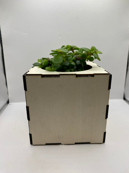 Handmade Planter