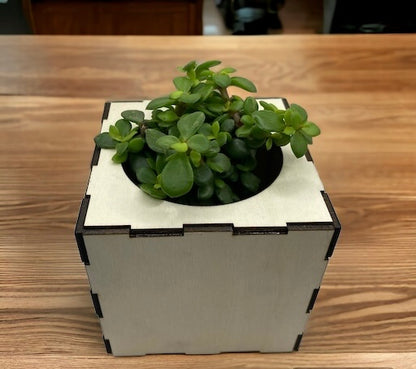 Handmade Planter